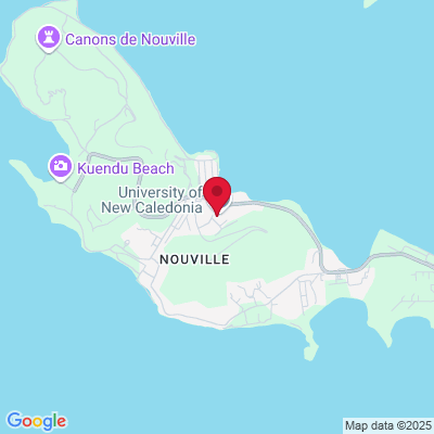 Google Maps static image